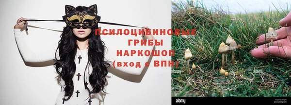 молекула духа Алексеевка